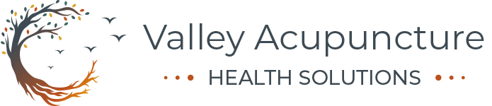 Valley Acupuncture Health Solutions