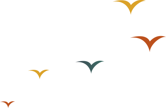 Colourful birds