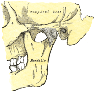 5-Tips-to-Help-TMJ-img_450-300x290