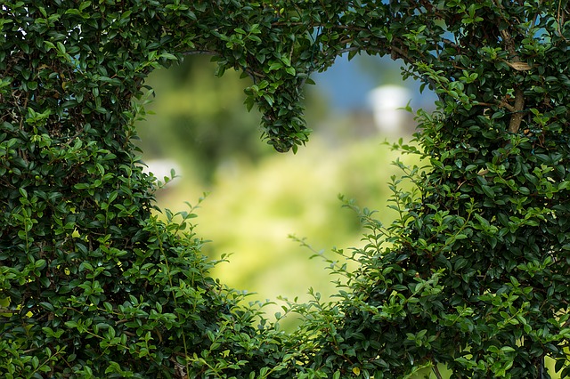 Blogimg-Valentine’s-Day_640