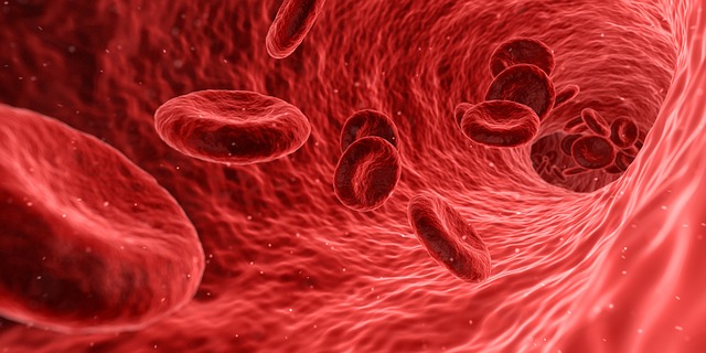 Blogimg-Increase-White-Blood-Cell-Count