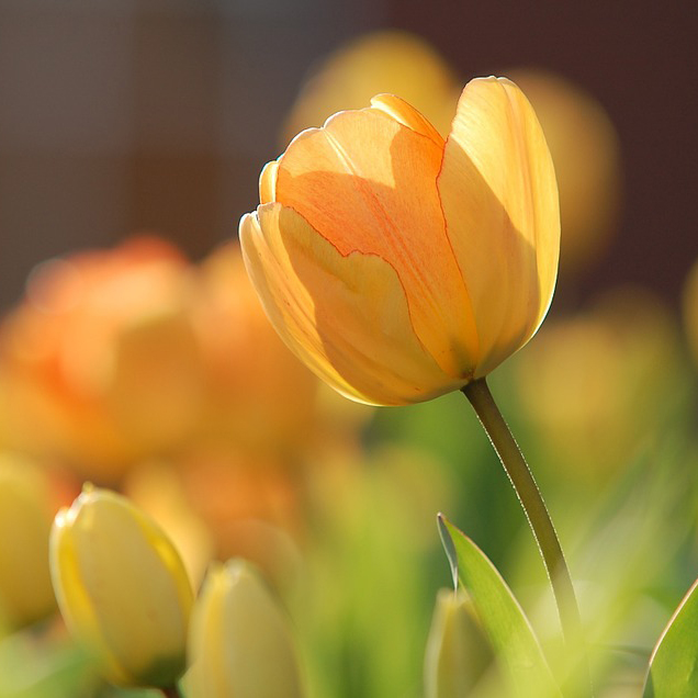 BlogImg_1