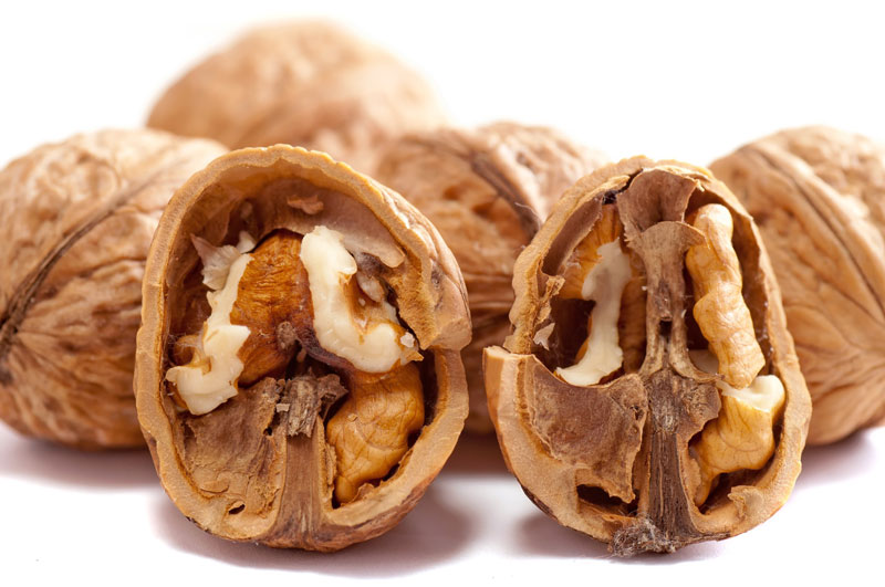 Blog1_img_Walnuts-and-Your-Brain