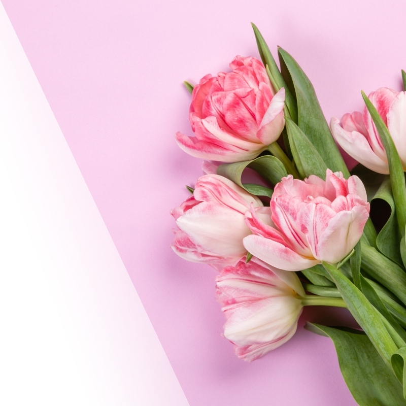 blog1-acupuncture-mothers-day-square