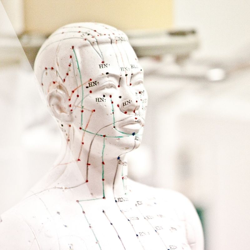 blog1-acupuncture-meridians-qi-explained-square