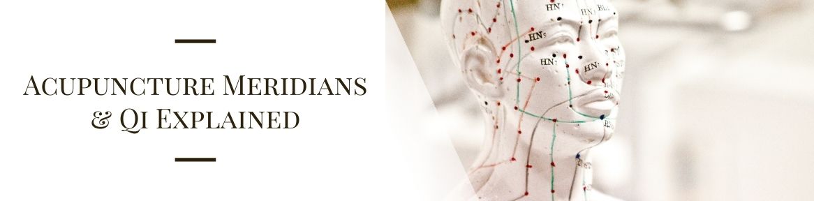 Acupuncture Meridians and Qi Explained