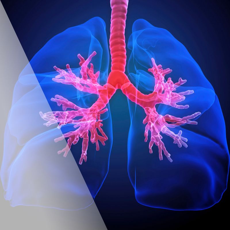blog1-acupuncture-for-lung-health-sq