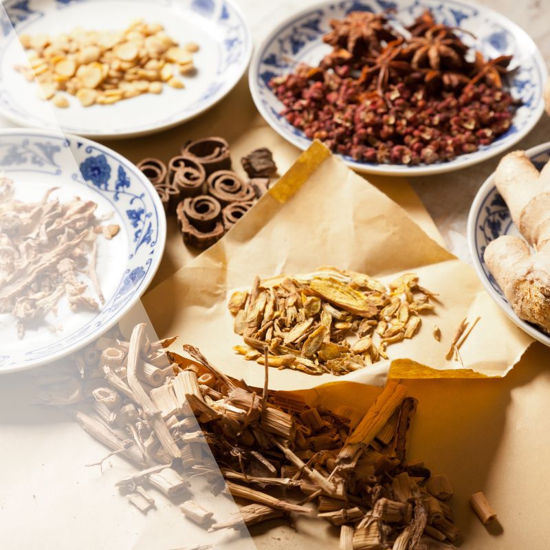 mar6-blog1-herbal-therapy-sq
