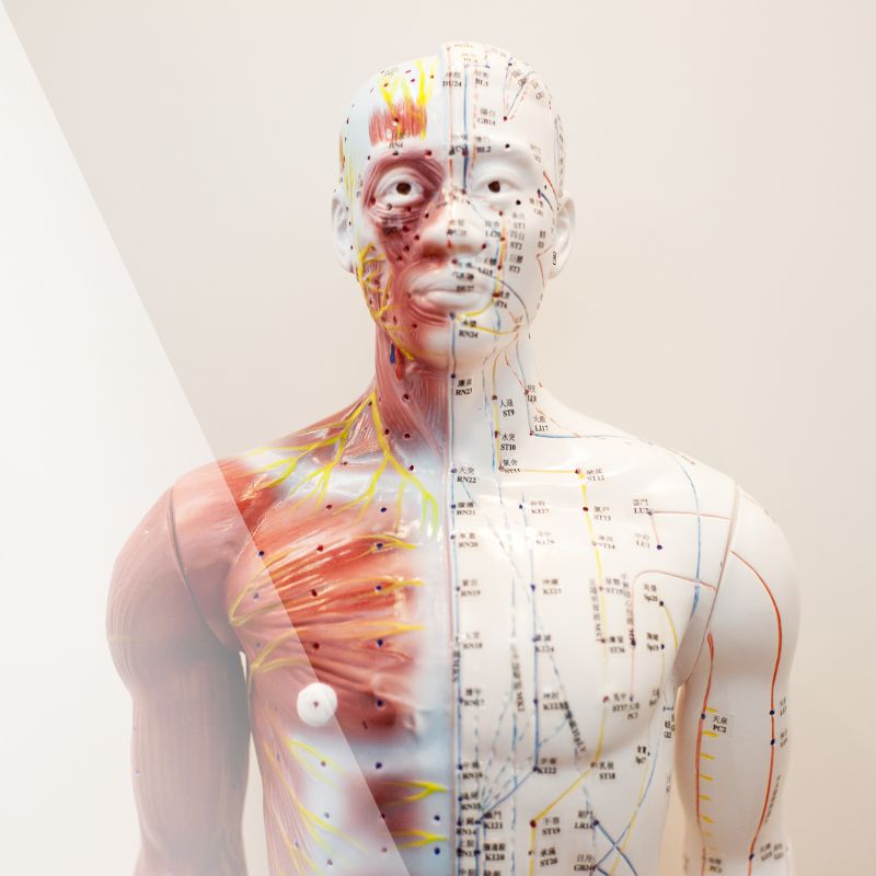 blog2-nov23-12meridians-sq