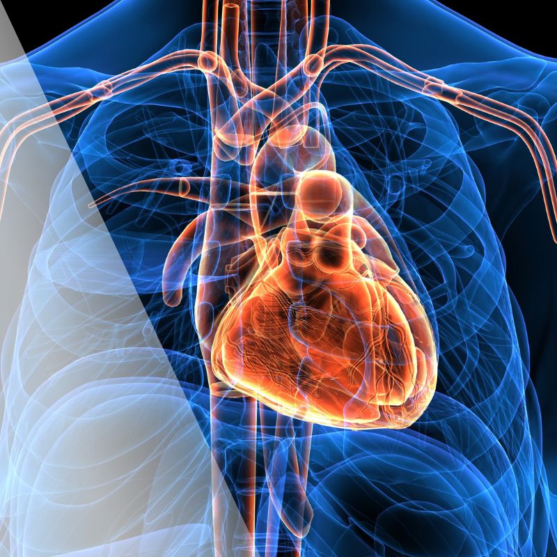 apw-jan24-heartdisease-sq