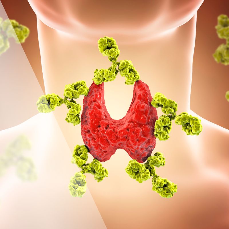 apw-blog-may24-autoimmune-sq