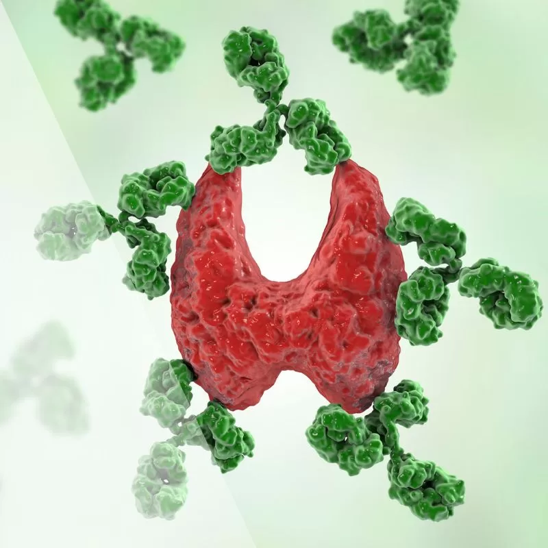 apw-blog-oct25-autoimmune-sq