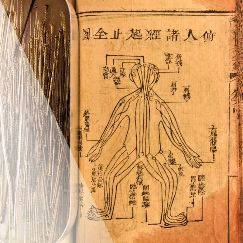 apw-blog-jan26-chinese-japanese-acu-sq