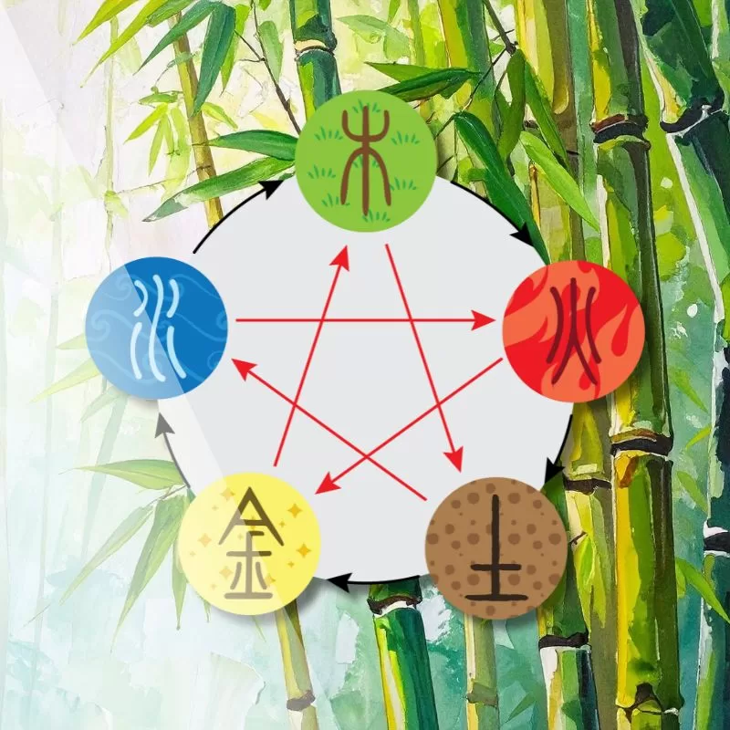 apw-blog-jan26-fiveelement-sq