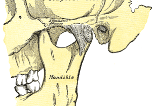 5-Tips-to-Help-TMJ-img_450-300x290