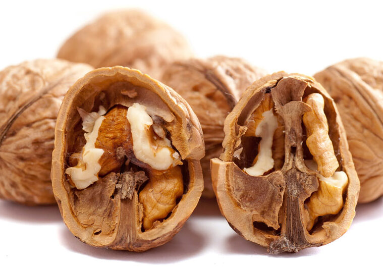 Blog1_img_Walnuts-and-Your-Brain