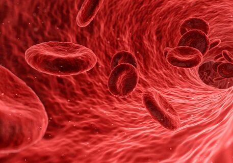 Blogimg-Increase-White-Blood-Cell-Count