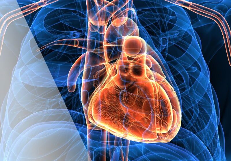 apw-jan24-heartdisease-sq