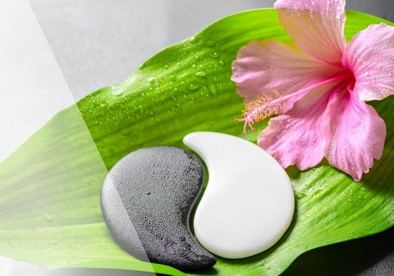 blog1-establishing-care-with-your-Acupuncturist-square