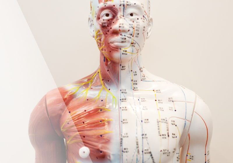 blog2-nov23-12meridians-sq