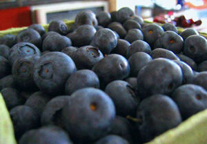 blueberries_superfoods