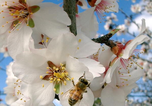 spring-has-sprung-5_l